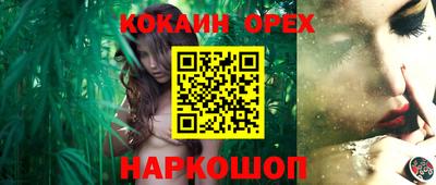 гашик Брянск