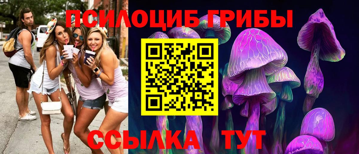 Псилоцибиновые грибы Psilocybine cubensis Владикавказ